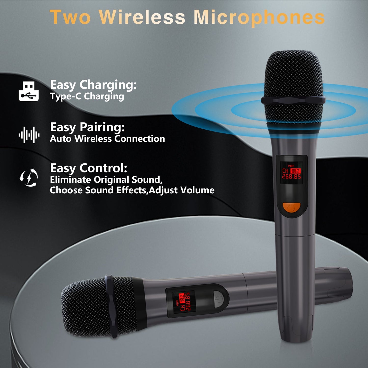 Dammyty Karaoke Machine for Adult, Portable Home Singing Machine with 2 Wireless Microphones, Bluetooth Speaker with PA System and LED Lights